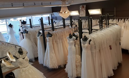 Anina Brud & Festspecialisten