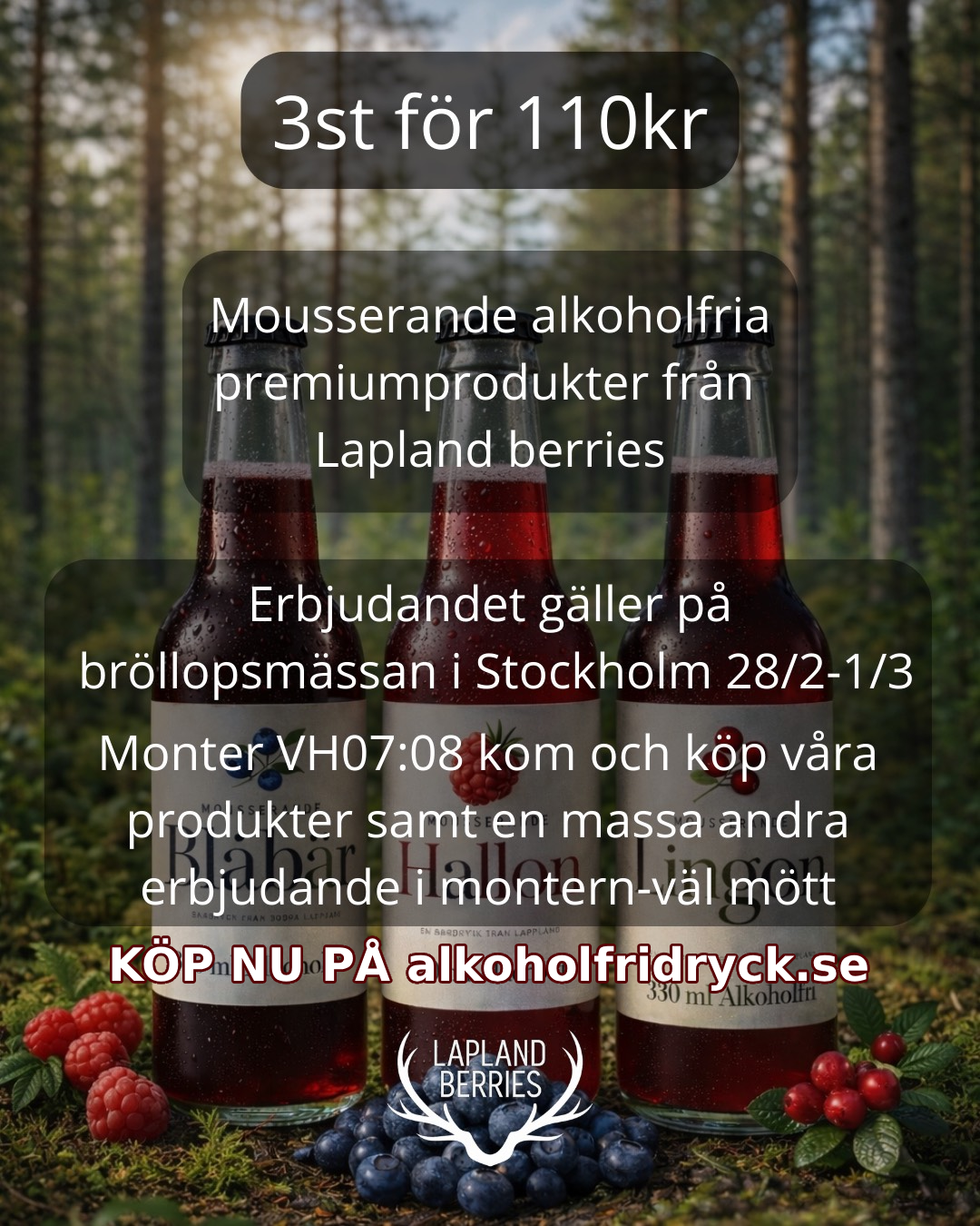 Lapland berries