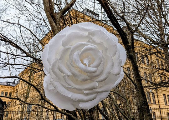 Trollsås Decor